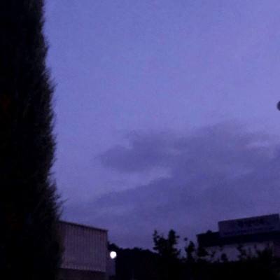 香港今晚六给彩开奖结果下载手机版