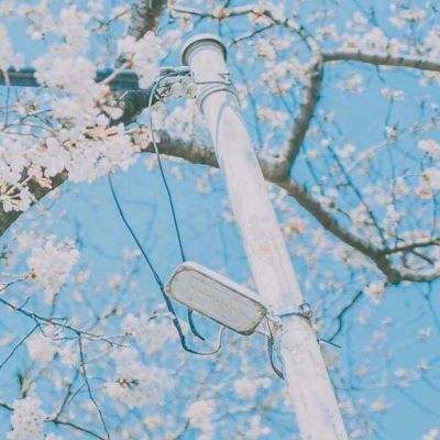 kaiyun·体育app下载