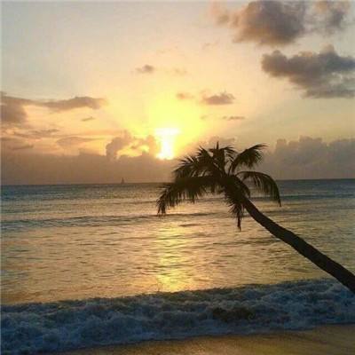 888电玩城游戏厅app下载