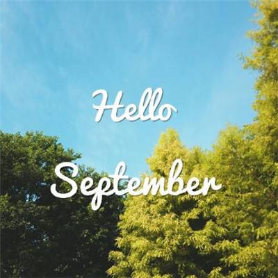 hth体育官方网站