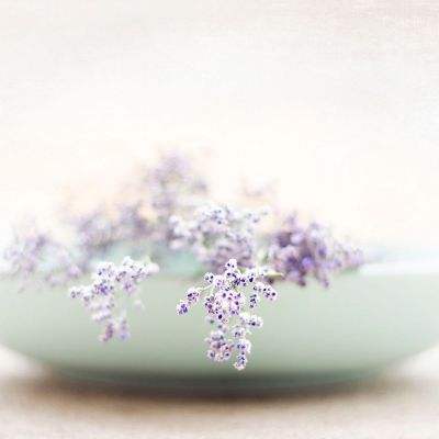 皇冠正规娱乐平台(官方)手机app下载